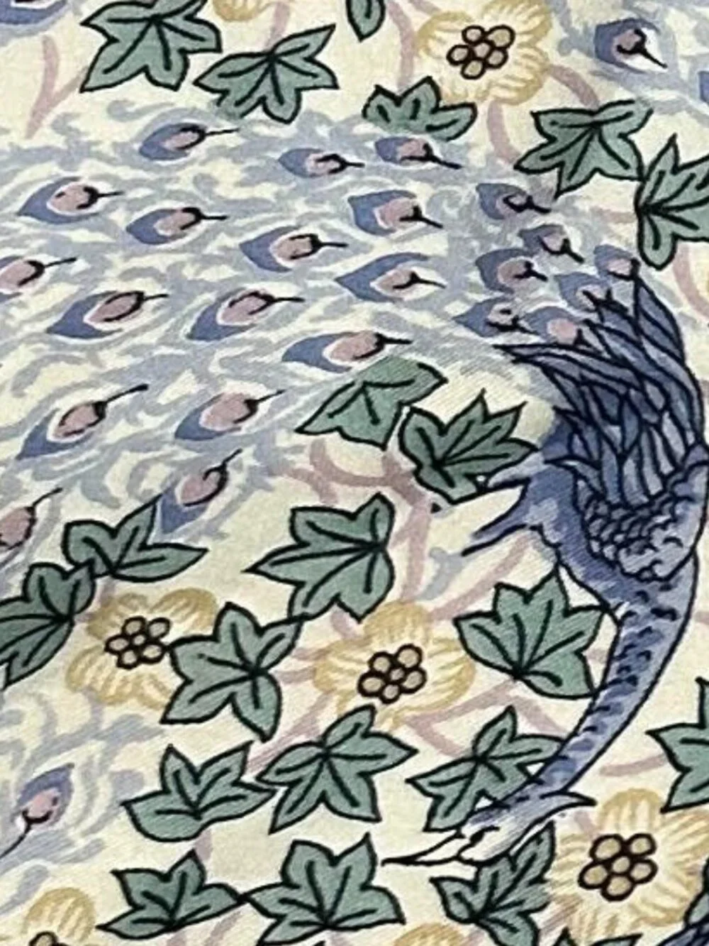Silk Scarf